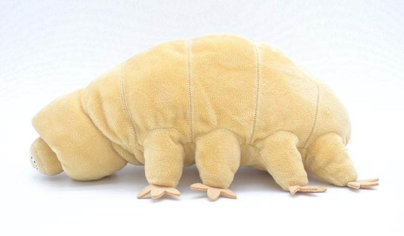 Tardigrade plushie by Style's Bug - Style's Bug