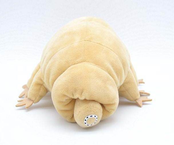 Tardigrade plushie by Style's Bug - Style's Bug