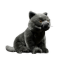 Realistic British Shorthair plushie by Style's Bug - Style's Bug