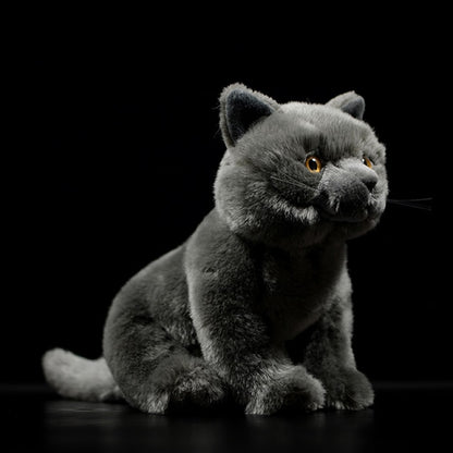 Realistic British Shorthair plushie by Style's Bug - Style's Bug Sitting (28cm)