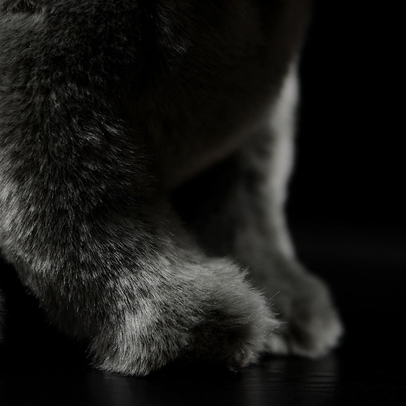 Realistic British Shorthair plushie by Style's Bug - Style's Bug