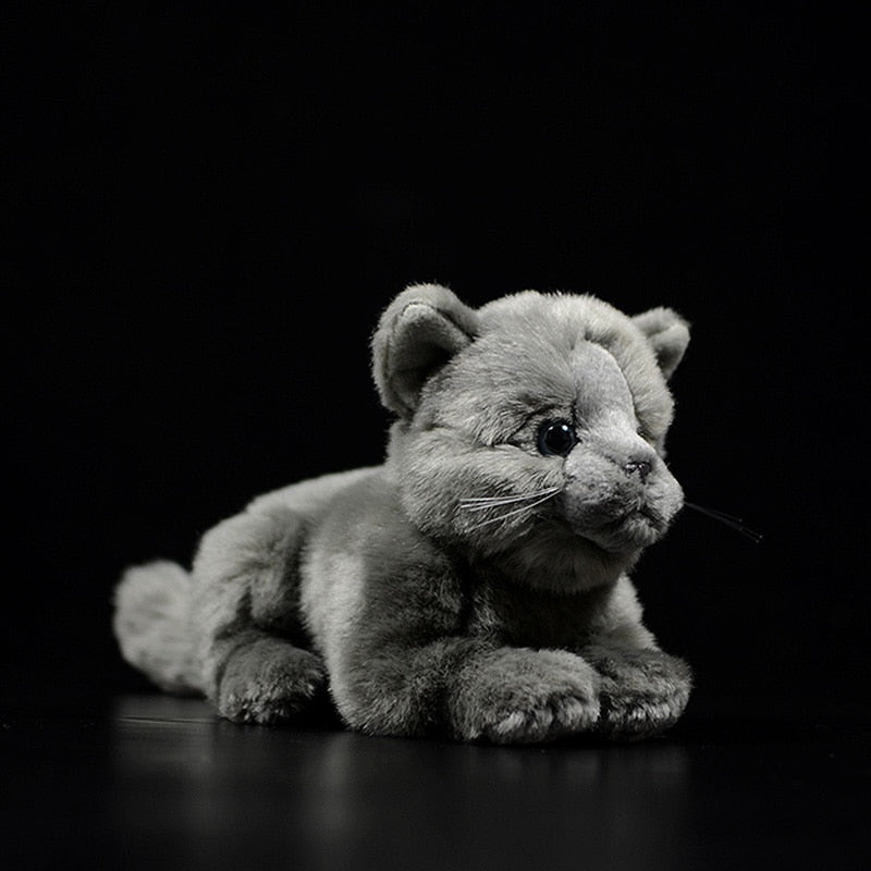 Realistic British Shorthair plushie by Style's Bug - Style's Bug