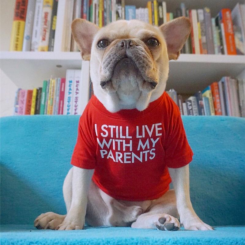 "I STILL LIVE WITH MY PARENTS" Dog T-shirts - Style's Bug