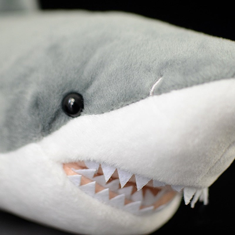 Realistic Great White Shark plushies by Style's Bug - Style's Bug