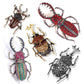 Beetles pin sets by SB - Style's Bug All 5 pins (as shown in the photo)
