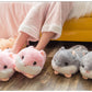 Hamster Slippers by Style's Bug - Style's Bug