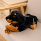 Animal tissue box plushies by Style's Bug - Style's Bug Rottweiler