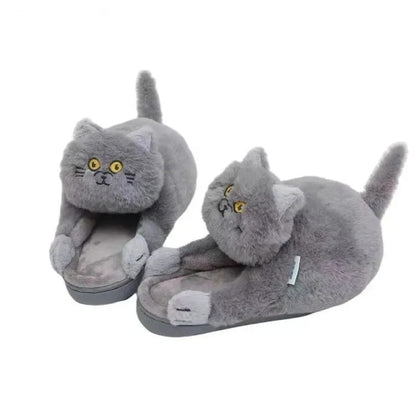 Begging BSH Cat Slippers - Style's Bug Grey / 10.5