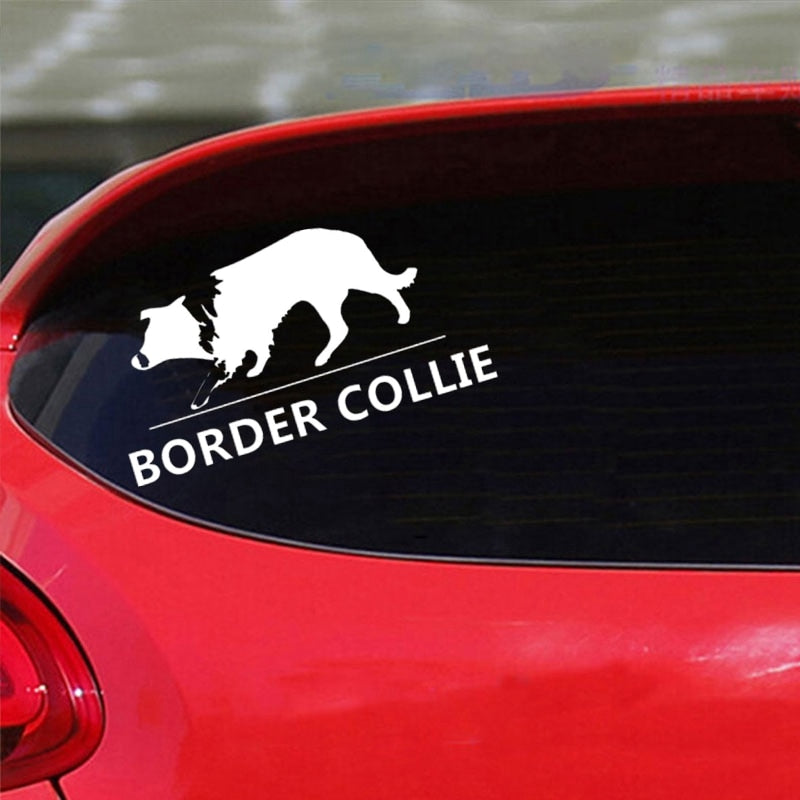 Curious Border Collie stickers (2pcs pack) - Style's Bug