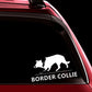 Curious Border Collie stickers (2pcs pack) - Style's Bug