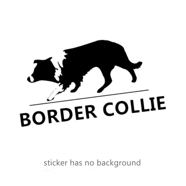 Curious Border Collie stickers (2pcs pack) - Style's Bug Black / Width 30 cm