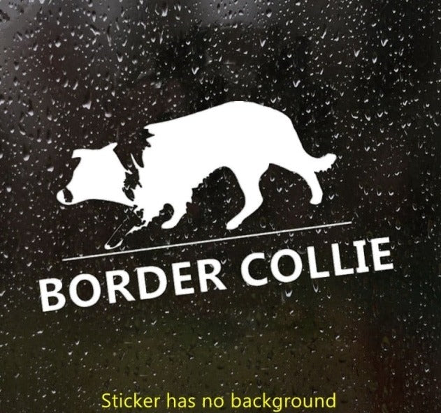 Curious Border Collie stickers (2pcs pack) - Style's Bug White / Width 20 cm