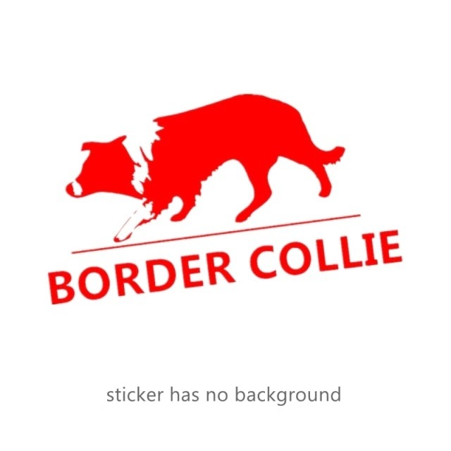 Curious Border Collie stickers (2pcs pack) - Style's Bug Red / Width 30 cm