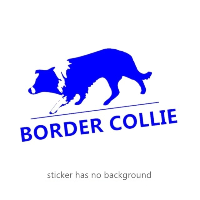 Curious Border Collie stickers (2pcs pack) - Style's Bug Blue / Width 30 cm