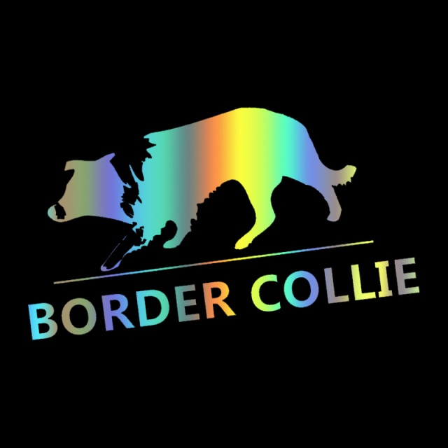 Curious Border Collie stickers (2pcs pack) - Style's Bug Laser / Width 20 cm