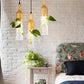 Modern plant bottle lights by Style's Bug - Style's Bug