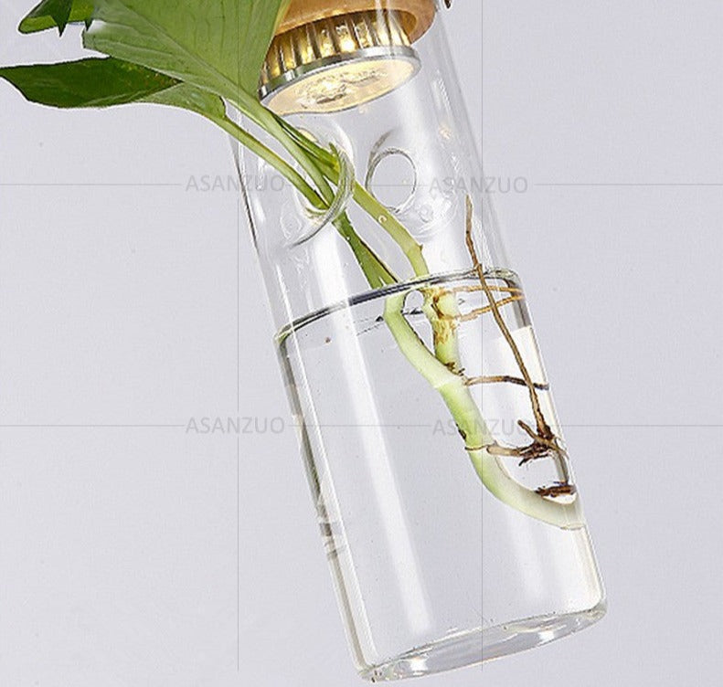 Modern plant bottle lights by Style's Bug - Style's Bug