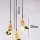 Modern plant bottle lights by Style's Bug - Style's Bug 3 bulb heads + round base
