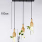 Modern plant bottle lights by Style's Bug - Style's Bug 3 bulb heads + Bar base