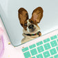 Funny Waterproof Basset Hound Stickers - Style's Bug